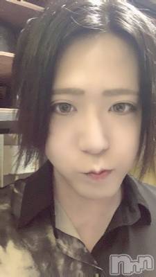 ��Į�ۥ��ȡ��ܡ������С�A151(�����������ݥ���) �������(30)��2��8���̥�֥����֤��äѡ������̡�