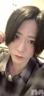 ��Į�ۥ��ȡ��ܡ������С�A151(�����������ݥ���) �������(30)��4��10���̥�֥����֤⤯��