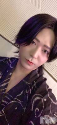 ��Į�ۥ��ȡ��ܡ������С�A151(�����������ݥ���) �������(30)��7��2���̥�֥����������١�