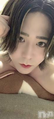 ��Į�ۥ��ȡ��ܡ������С�A151(�����������ݥ���) �������(30)��8��22���̥�֥����֤������ʤ�Do�����