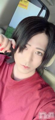 ��Į�ۥ��ȡ��ܡ������С�A151(�����������ݥ���) �������(31)��1��22���̥�֥����ֱĶȤǤ��ʤ��ƺ��äƤޤ���