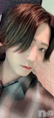 ��Į�ۥ��ȡ��ܡ������С�A151(�����������ݥ���) �������(31)��3��2���̥�֥����֤�����ˡ��������