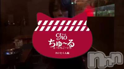 ��������פ�(14����)