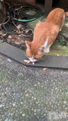 ���դ�¶�λ�