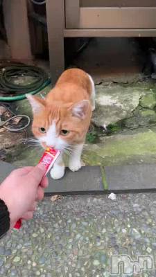 ���դ�¶����