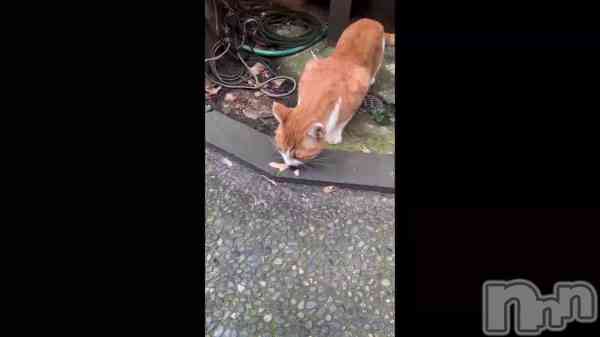 �ֱ��դ�¶�λ���