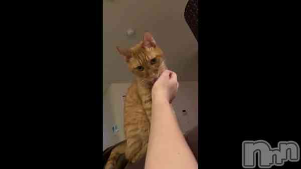 �֤����Ρ�