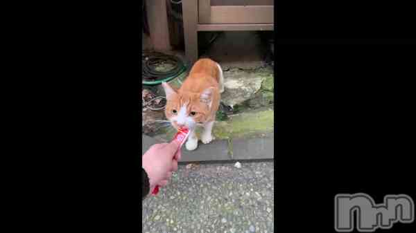 �ֱ��դ�¶�����