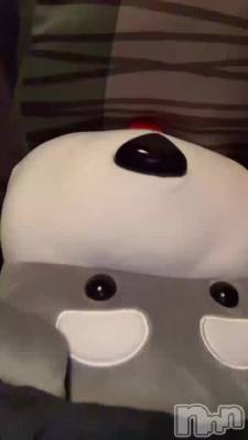 ��������🐶🐾