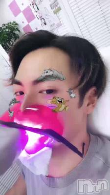 ✨️💎�ۥ磻�ȥ˥󥰤Ϥ��ߤ�Ǥ����🦷✨️