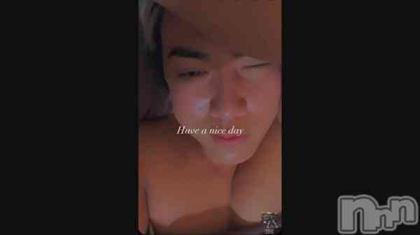 �֤��Ϥ�🐣🐥☀️��