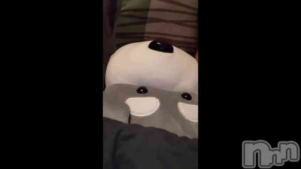 �ֲ�������🐶🐾��