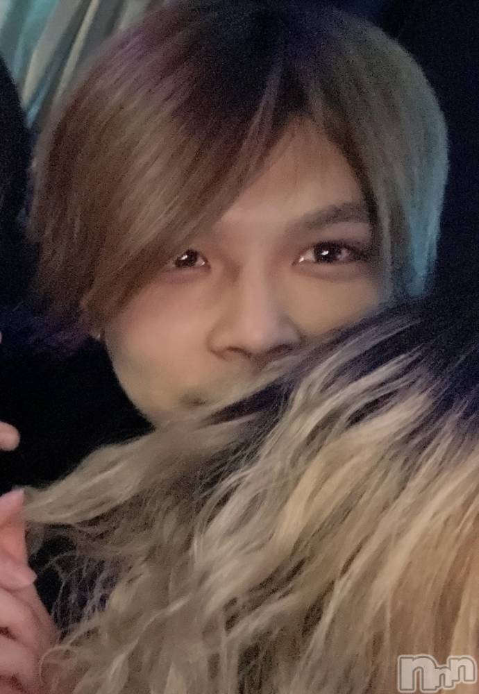 ��Į�ۥ��ȡ��ܡ������С�A151(�����������ݥ���) ���¤�4��8���̥�֥����֤���������ġ�����