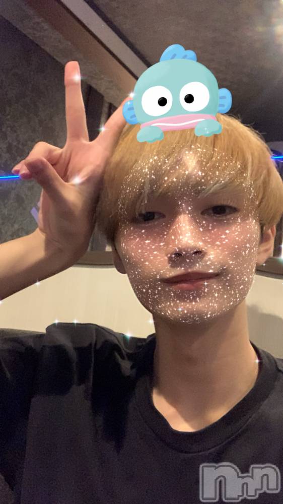 ��Į�ۥ��ȡ��ܡ������С�A151(�����������ݥ���) ���¤�9��9���̥�֥����ֻ���day������