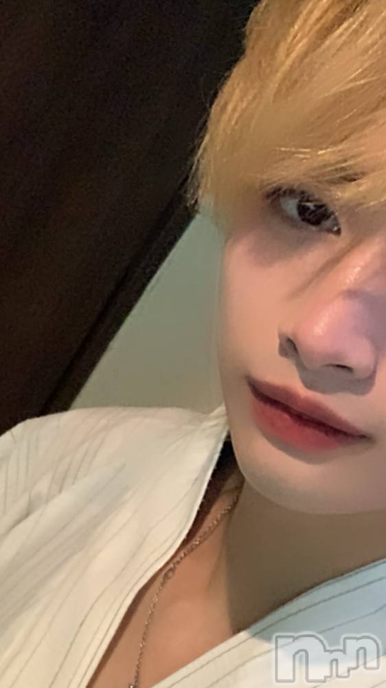 ��Į�ۥ��ȡ��ܡ������С�A151(�����������ݥ���) ���¤�8��4���̥�֥����֤椫������