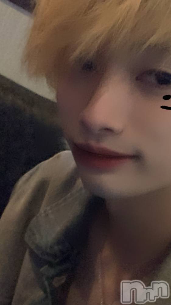 ��Į�ۥ��ȡ��ܡ������С�A151(�����������ݥ���) ���¤�8��17���̥�֥����֤�������������