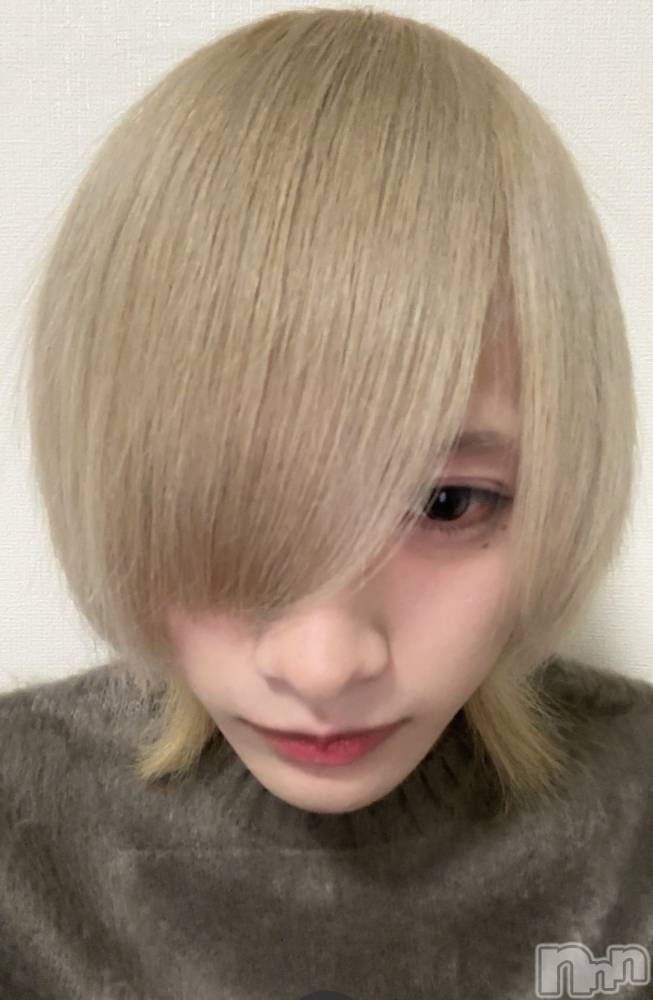 ��Į�ۥ��ȡ��ܡ������С�A151(�����������ݥ���) ���¤�3��5���̥�֥����֤��롪��