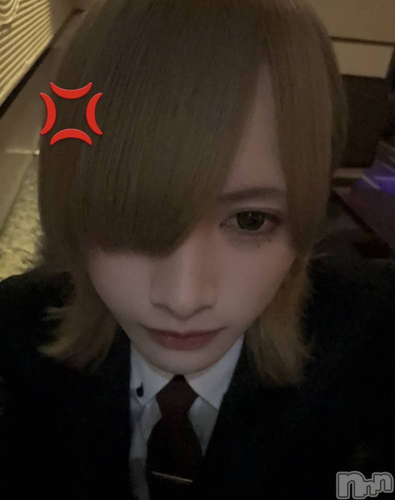 ��Į�ۥ��ȡ��ܡ������С�A151(�����������ݥ���) ���¤�4��2���̥�֥����֤�����