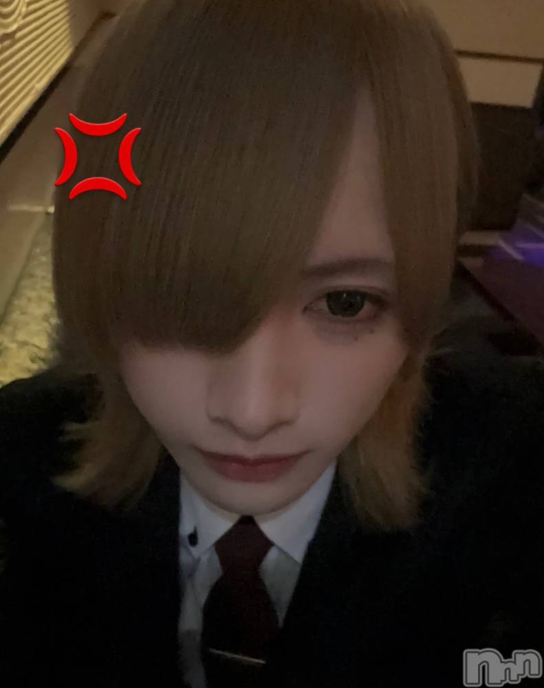 ��Į�ۥ��ȡ��ܡ������С�A151(�����������ݥ���) ���¤�4��25���̥�֥����֤�ԡ�