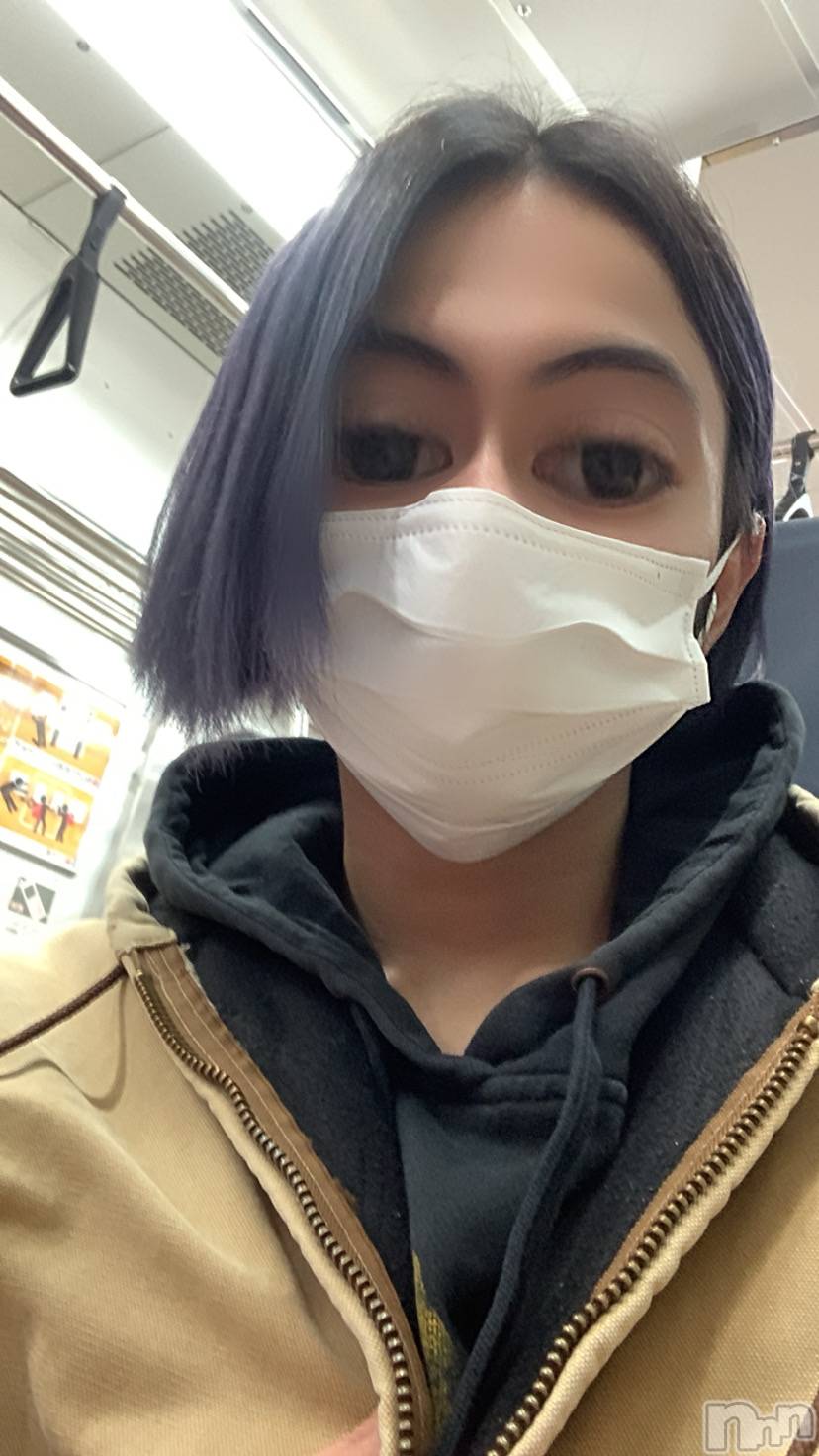 ��Į�ۥ��ȡ��ܡ������С�A151(�����������ݥ���) ��2022ǯ3��23���̥�֥����־Ƥ����Ф�����������