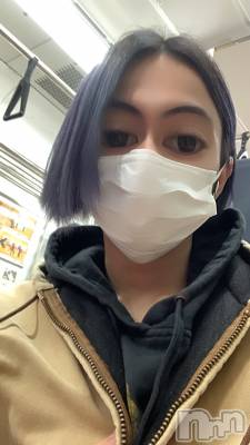 ��Į�ۥ��ȡ��ܡ������С�A151(�����������ݥ���) ����(23)��3��23���̥�֥����־Ƥ����Ф�����������