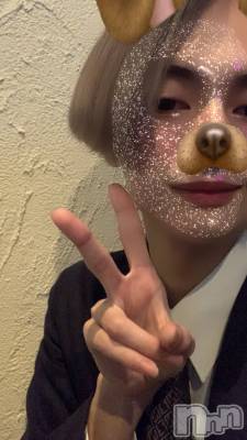 ��Į�ۥ��ȡ��ܡ������С�A151(�����������ݥ���) ����(23)��4��3���̥�֥����ֿ������������