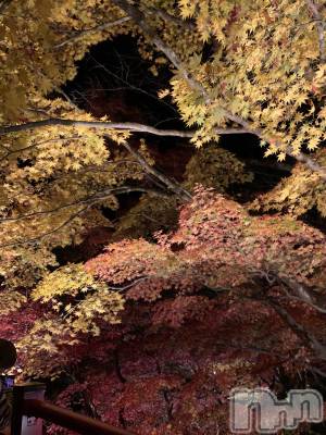 ��Į�ۥ��ȡ��ܡ������С�A151(�����������ݥ���) ����(23)��11��11���̥�֥����֤ߤˤ������褦��