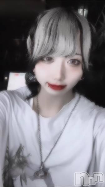 ĮۥȡܡСACQUA  NIIGATA(˥) 뤫ꤪ713̵̥֥