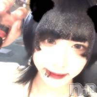 ĮۥȡܡС ACQUA  NIIGATA(˥) 뤫ꤪβ(5)