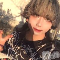 ĮۥȡܡС ACQUA  NIIGATA(˥) 뤫ꤪβ(3)