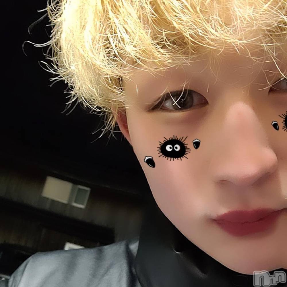 ��Į�ۥ��ȡ��ܡ������С�A151(�����������ݥ���) ŷ�Ȥդ��Ƥ��1��8���̥�֥����֥С����ǡ�����