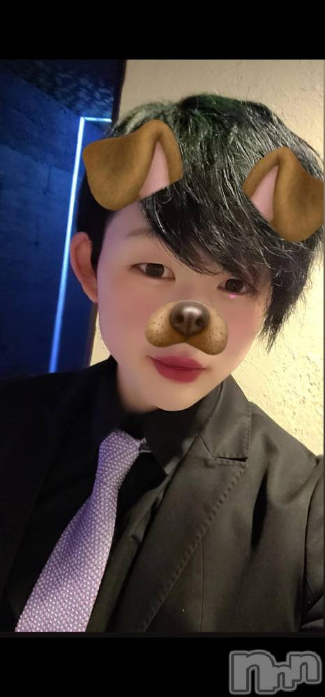 ��Į�ۥ��ȡ��ܡ������С�A151(�����������ݥ���) ŷ�Ȥդ��Ƥ��2��8���̥�֥����ֽжС�������