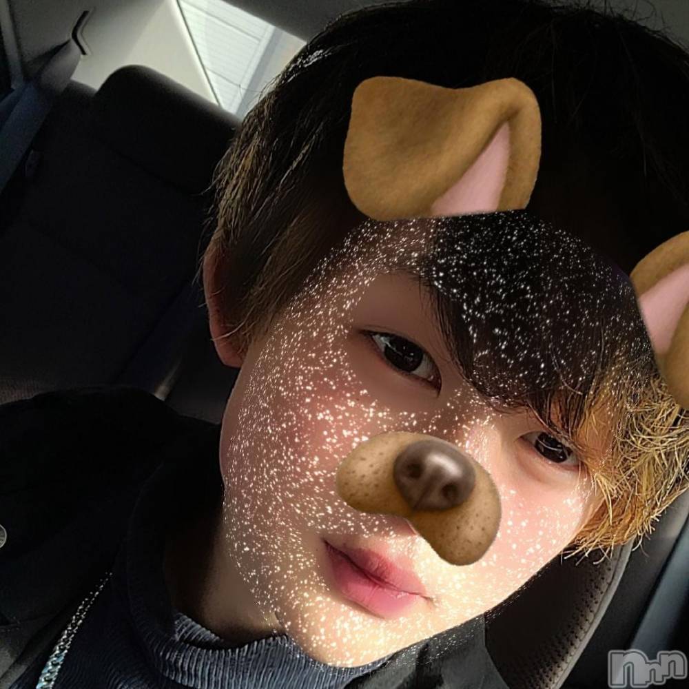 ��Į�ۥ��ȡ��ܡ������С�A151(�����������ݥ���) ŷ�Ȥդ��Ƥ��3��6���̥�֥����ּ¤���Ĵ���ġ�