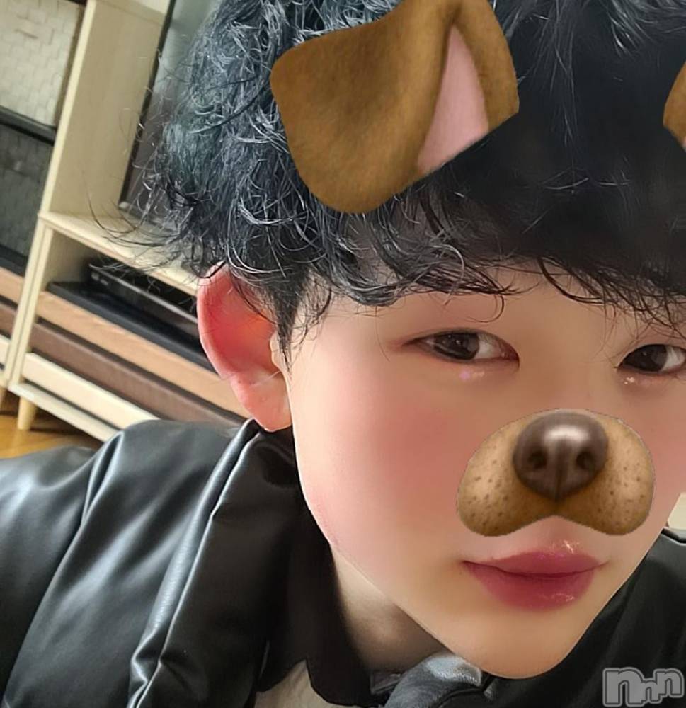 ��Į�ۥ��ȡ��ܡ������С�A151(�����������ݥ���) ŷ�Ȥդ��Ƥ��3��3���̥�֥����ְ���衼��������