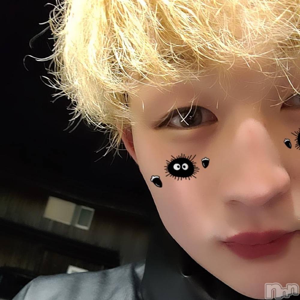 ��Į�ۥ��ȡ��ܡ������С�A151(�����������ݥ���) ŷ�Ȥդ��Ƥ��3��8���̥�֥����֤�Ф��衼��������