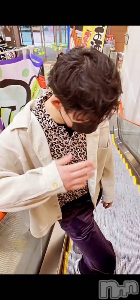 ��Į�ۥ��ȡ��ܡ������С�A151(�����������ݥ���) ŷ�Ȥդ��Ƥ��3��13���̥�֥����ְ���衪��