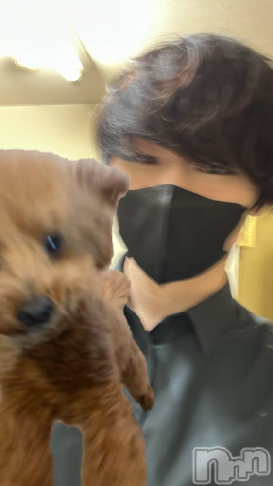 ��Į�ۥ��ȡ��ܡ������С�A151(�����������ݥ���) ŷ�Ȥդ��Ƥ��2��22���̥�֥����֤��̡���