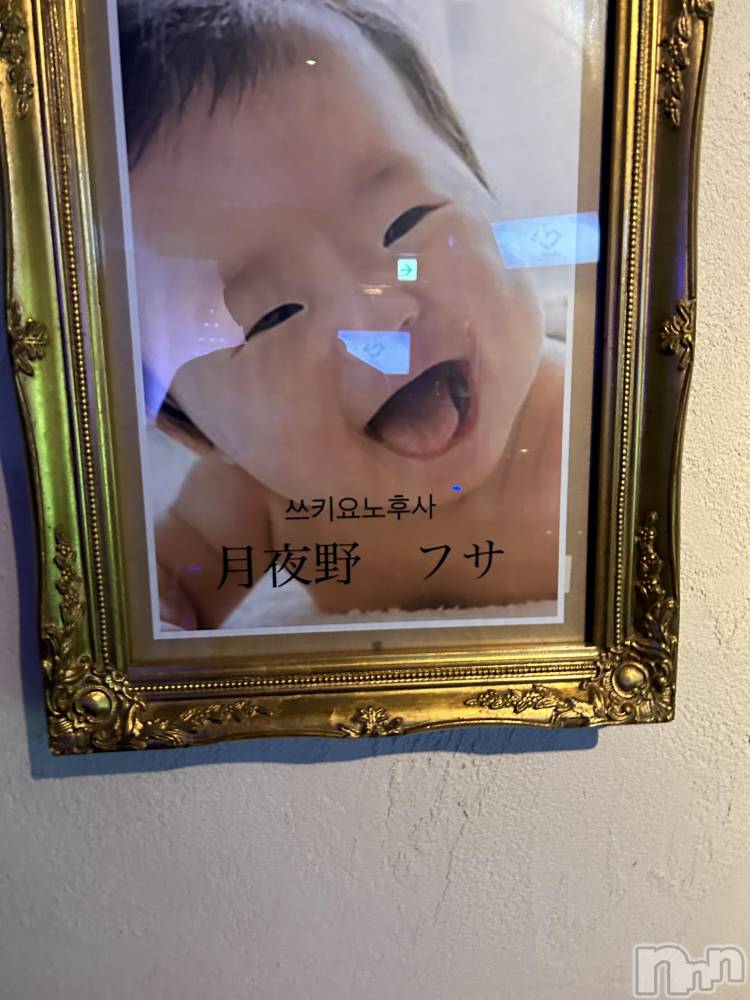 ��Į�ۥ��ȡ��ܡ������С�A151(�����������ݥ���) ŷ�Ȥդ��Ƥ��6��30���̥�֥�����������������