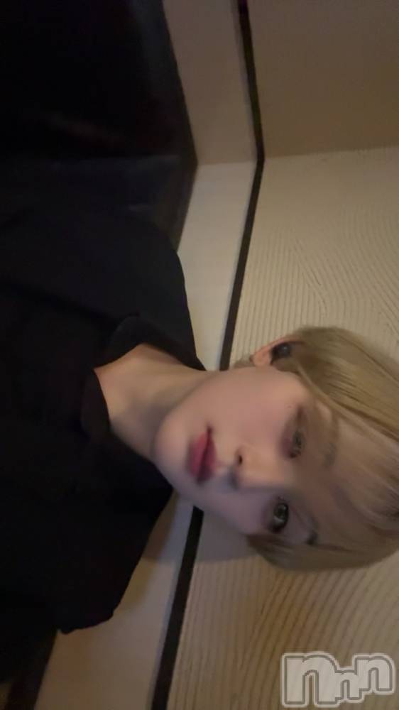 ��Į�ۥ��ȡ��ܡ������С�A151(�����������ݥ���) ŷ�Ȥդ��Ƥ��9��11���̥�֥����ֲ�������