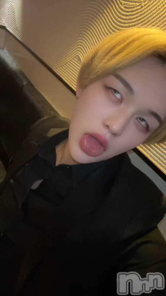 ��Į�ۥ��ȡ��ܡ������С�A151(�����������ݥ���) ŷ�Ȥդ��Ƥ��9��14���̥�֥����ֹ��ˤ���