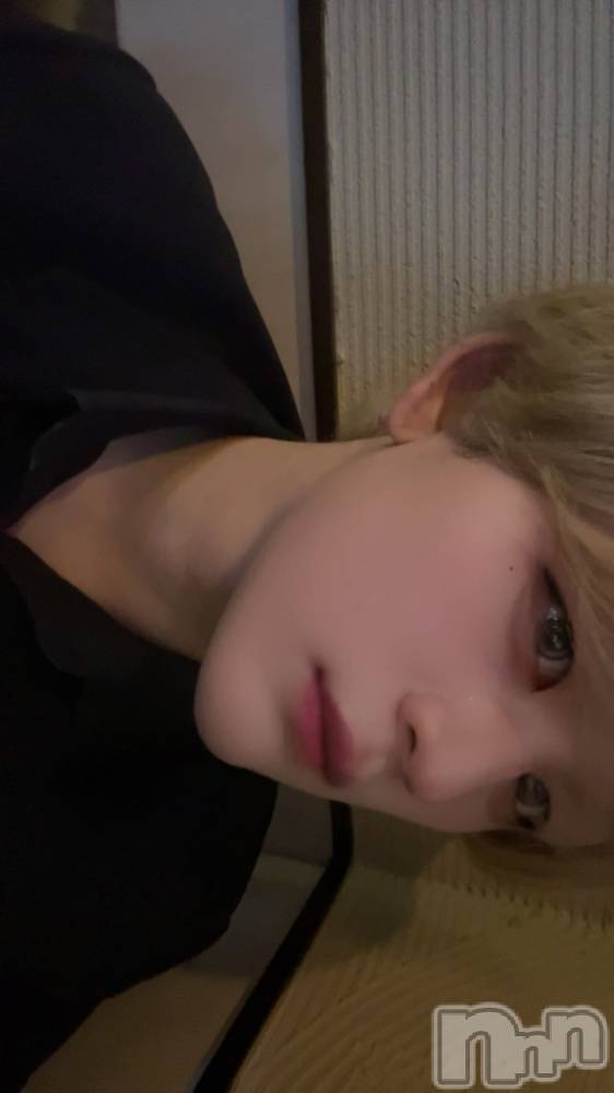 ��Į�ۥ��ȡ��ܡ������С�A151(�����������ݥ���) ŷ�Ȥդ��Ƥ��10��5���̥�֥����֤����