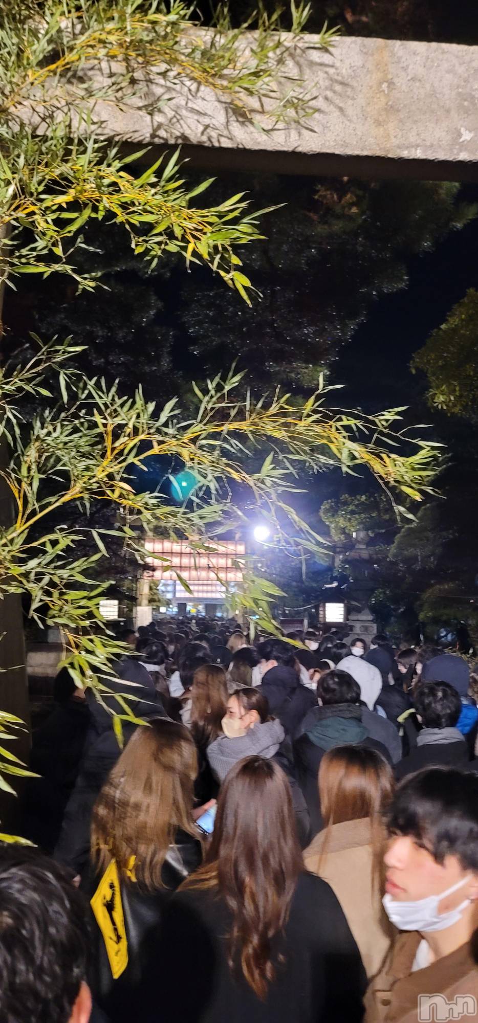 ��Į�ۥ��ȡ��ܡ������С�A151(�����������ݥ���) ��2023ǯ1��1���̥�֥�����2ǯ���ꡪ����