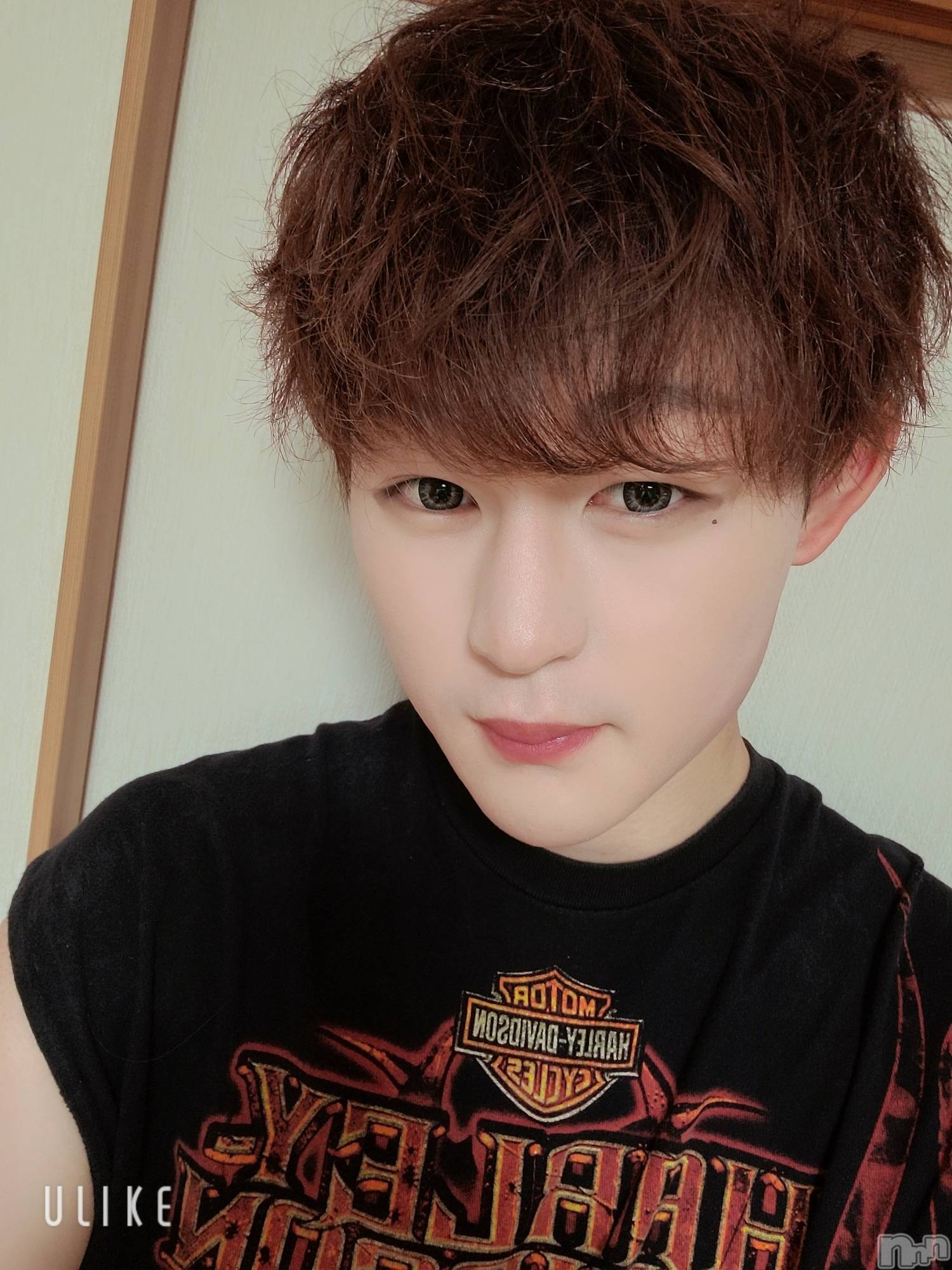 ��Į�ۥ��ȡ��ܡ������С�A151(�����������ݥ���) ��2023ǯ7��23���̥�֥����ֺ����Ϥ͡���