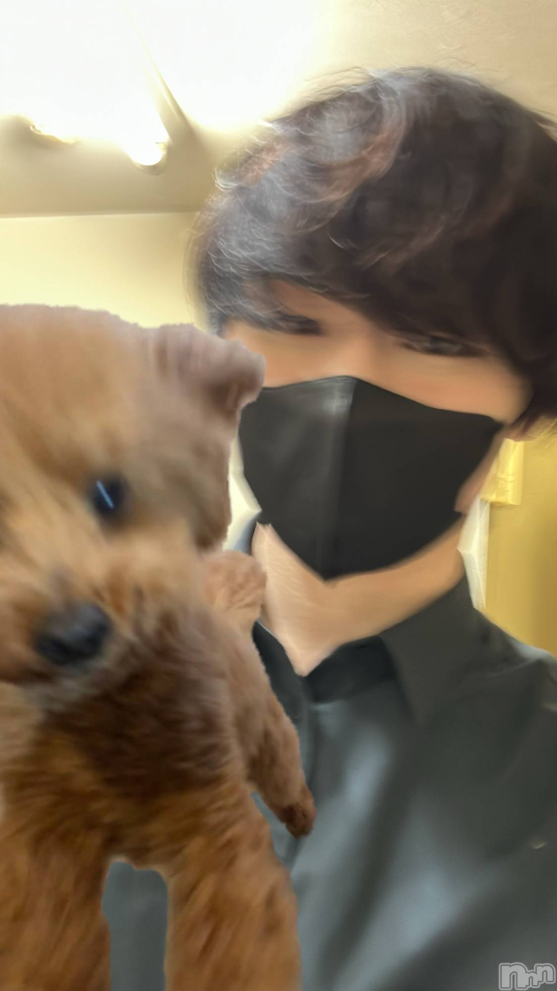 ��Į�ۥ��ȡ��ܡ������С�A151(�����������ݥ���) ��2024ǯ2��22���̥�֥����֤��̡���