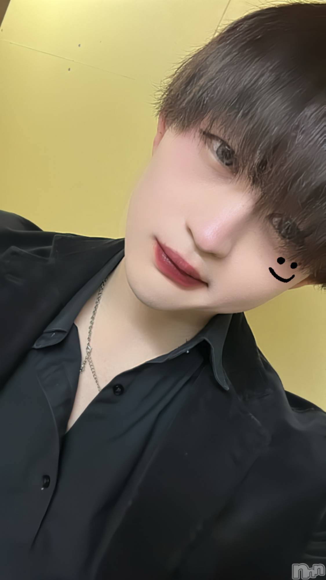 ��Į�ۥ��ȡ��ܡ������С�A151(�����������ݥ���) ��2024ǯ3��30���̥�֥����ֻ�����