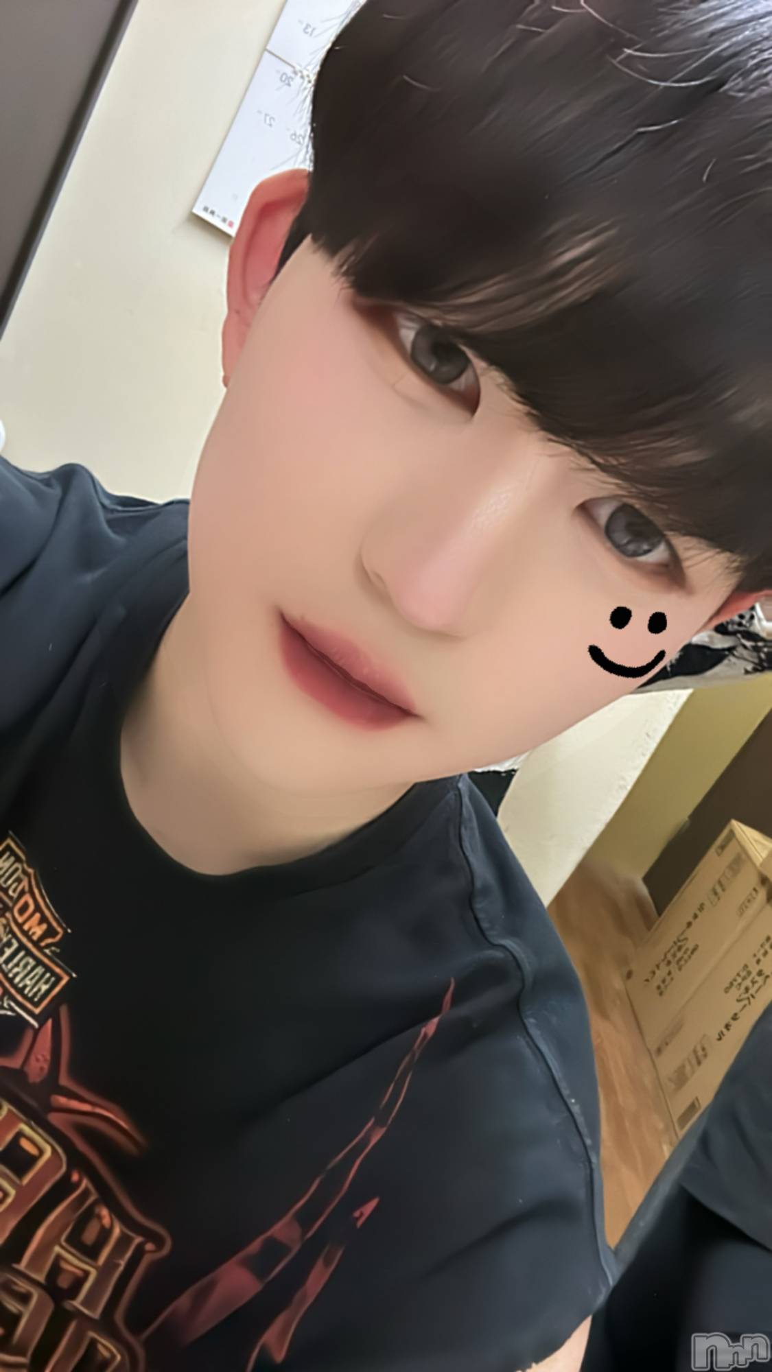 ��Į�ۥ��ȡ��ܡ������С�A151(�����������ݥ���) ��2024ǯ5��31���̥�֥�����������������