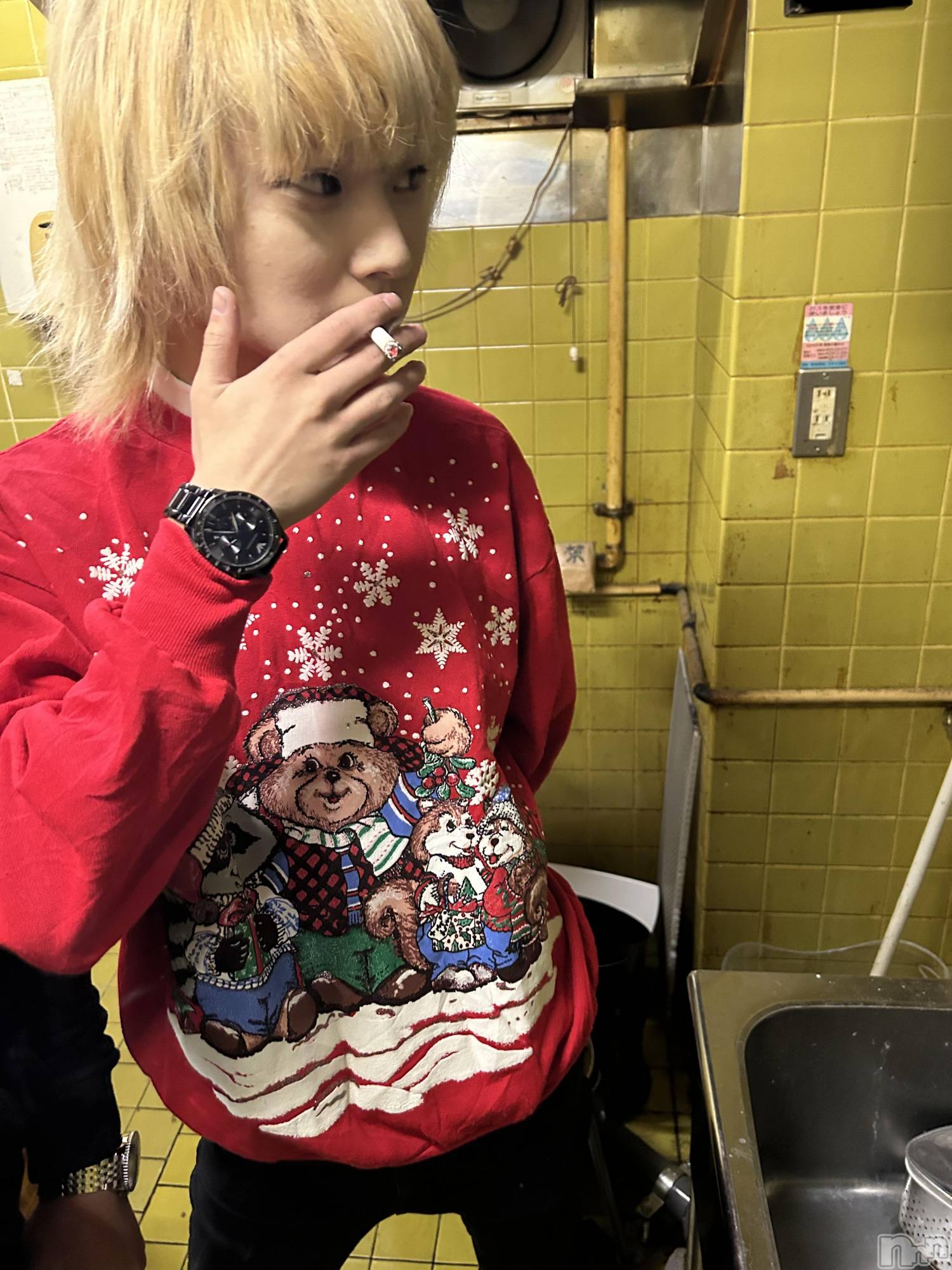 ��Į�ۥ��ȡ��ܡ������С�A151(�����������ݥ���) ��2025ǯ1��25���̥�֥����֥С����ǡ���