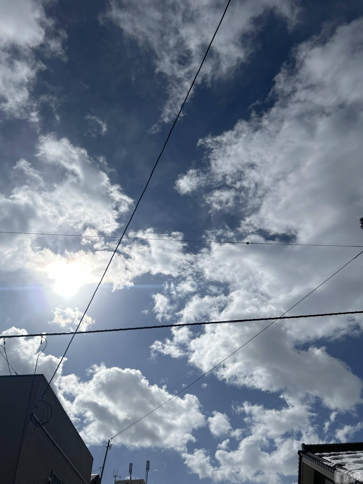 ��Į�ۥ��ȡ��ܡ������С�A151(�����������ݥ���) ��2025ǯ2��11���̥�֥����֤�����ŷ�����͡�