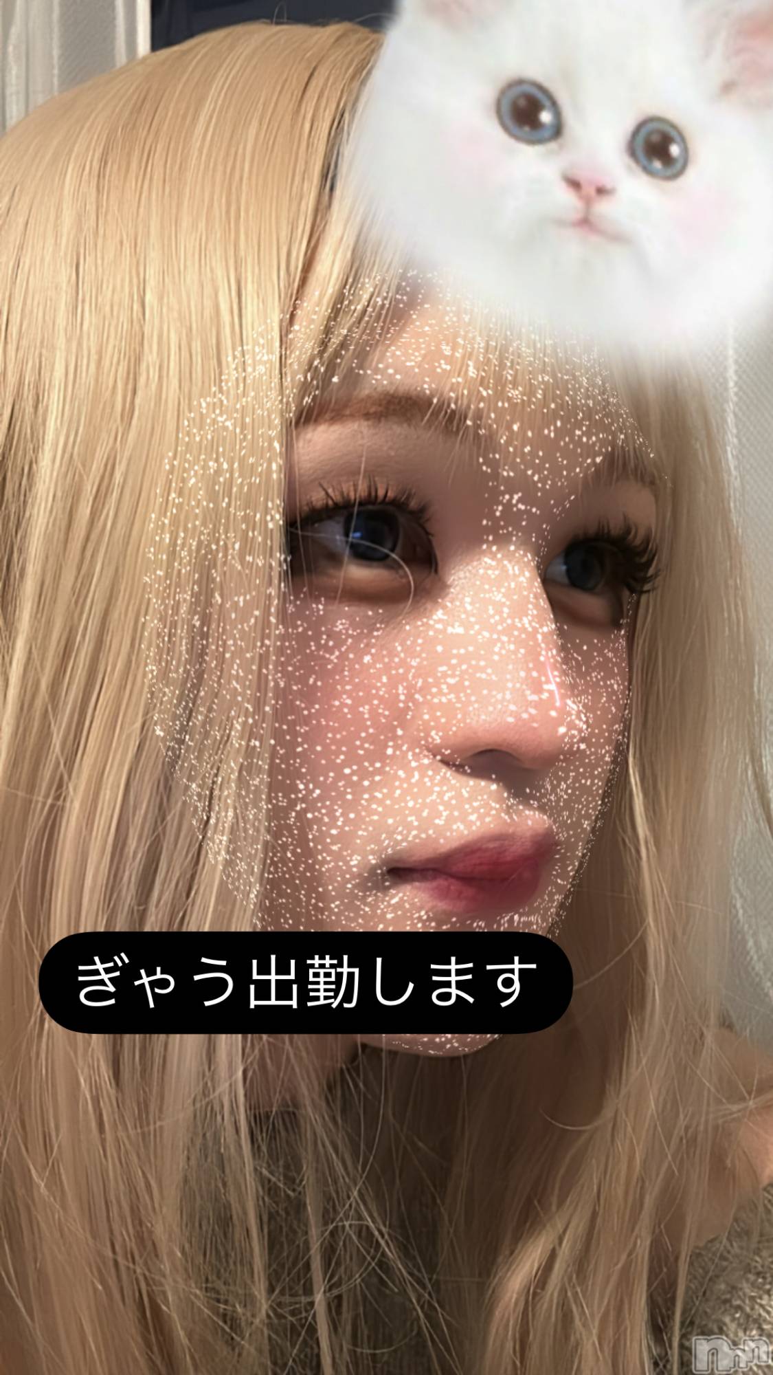 ��Į�ۥ��ȡ��ܡ������С�A151(�����������ݥ���) ��2025ǯ2��22���̥�֥����֤ޤ��ϥ������󤷤�����