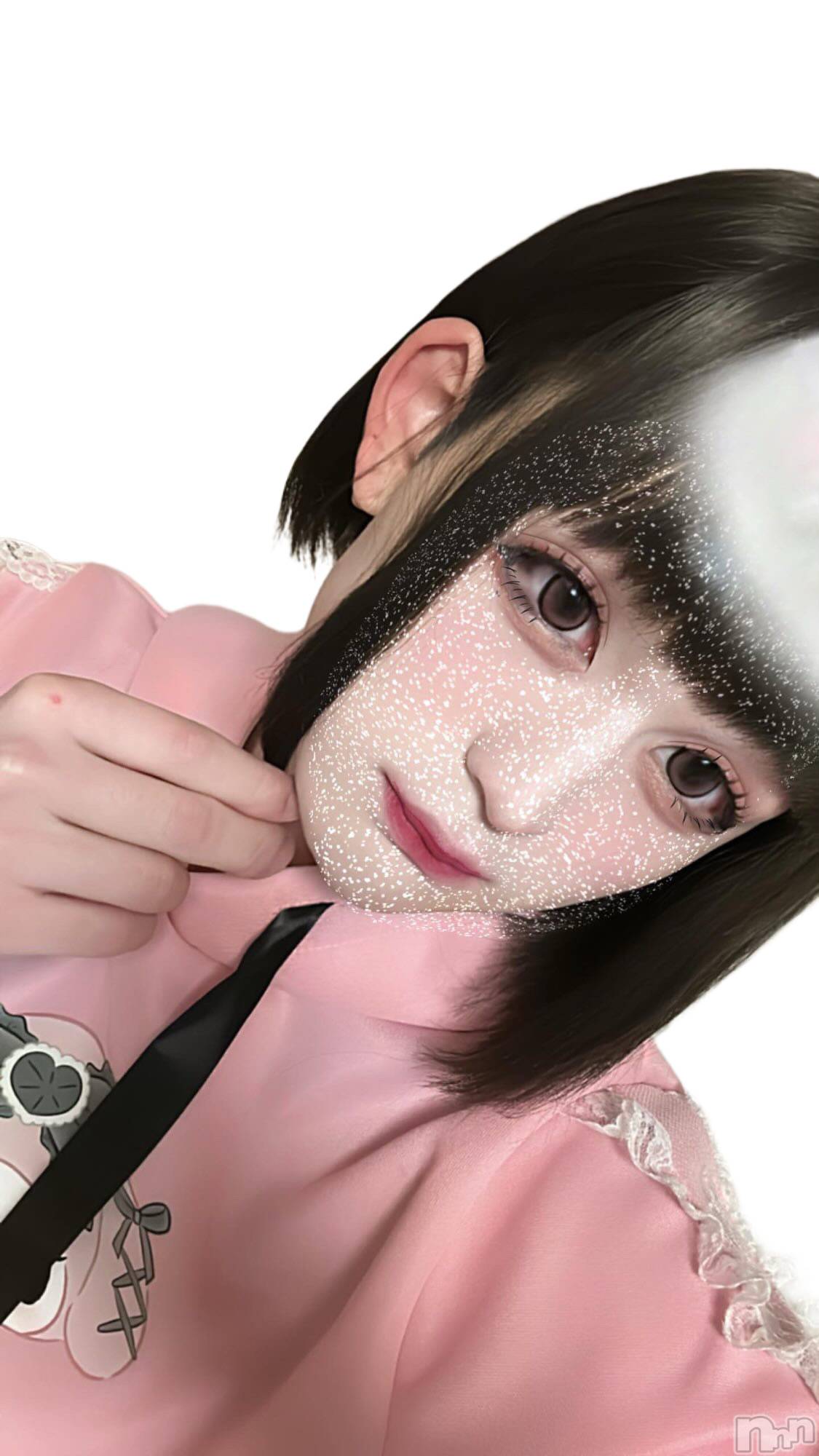 ��Į�ۥ��ȡ��ܡ������С�A151(�����������ݥ���) ��2025ǯ6��12���̥�֥����֤����������֥���1�̡���